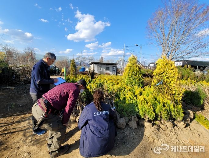 국립산림품종관리센터