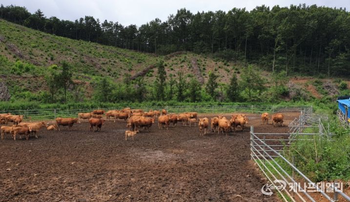 녹색축산육성기금 융자사업- 축사