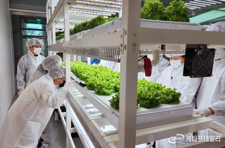서대문구 도심형 스마트팜 견학 모습