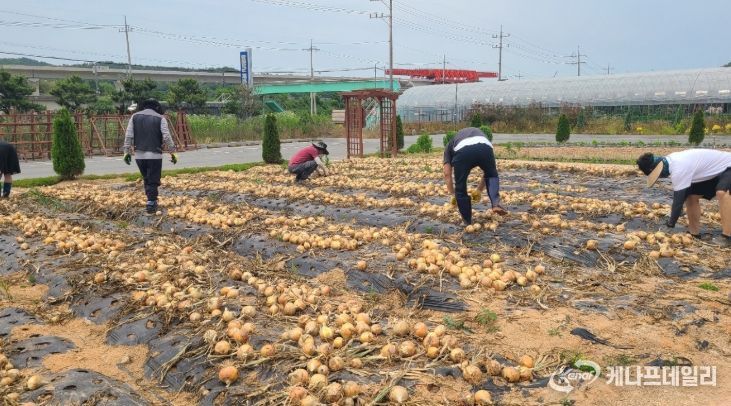 귀농어귀촌 체류형지원센터 교육생, 직접 수확한 양파 200㎏ 기부