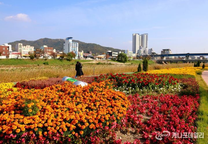 청주는 지금 삶의 질 수직 상승 중!