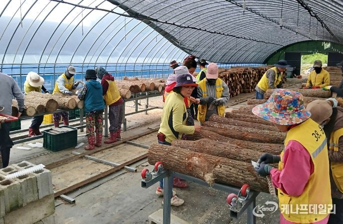 순창군 공공형 계절근로자,‘호평’에 힘입어 근무 연장