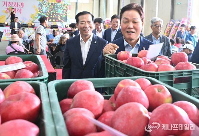 거창군, 거창사과 초매식 개최