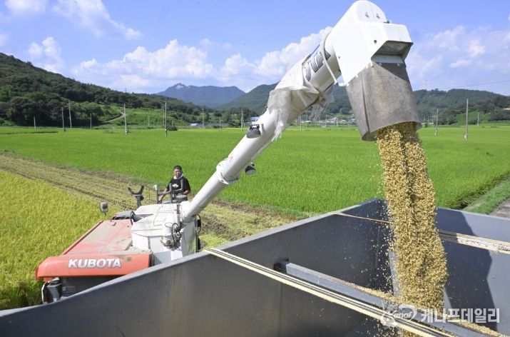 순창군, 해담벼 첫 수확