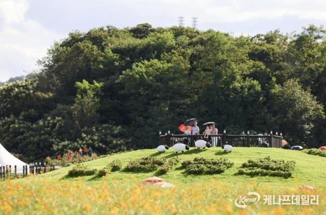 나리농원 전경