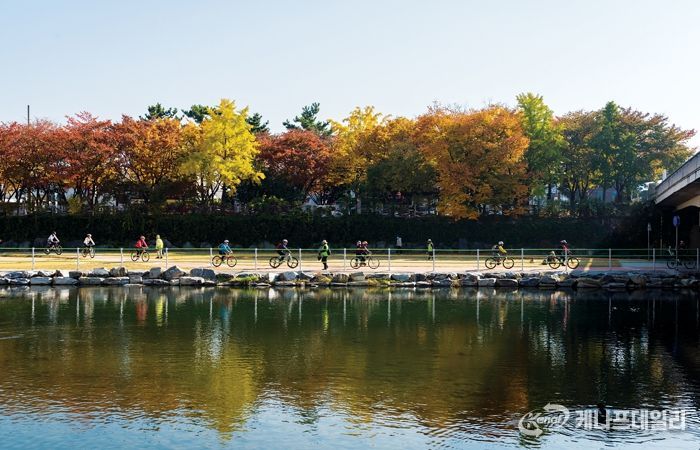 단풍과 함께 달리는 대구 힐링 라이딩 코스 7선!