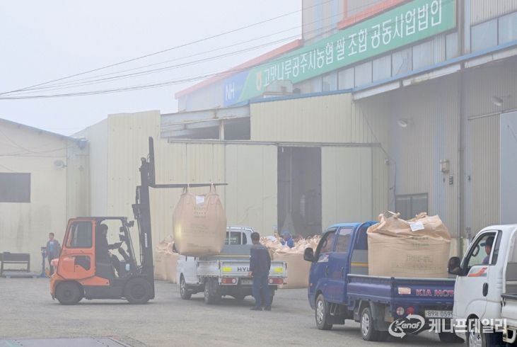 2025년산 공공비축미곡 건조벼 첫 매입 시작