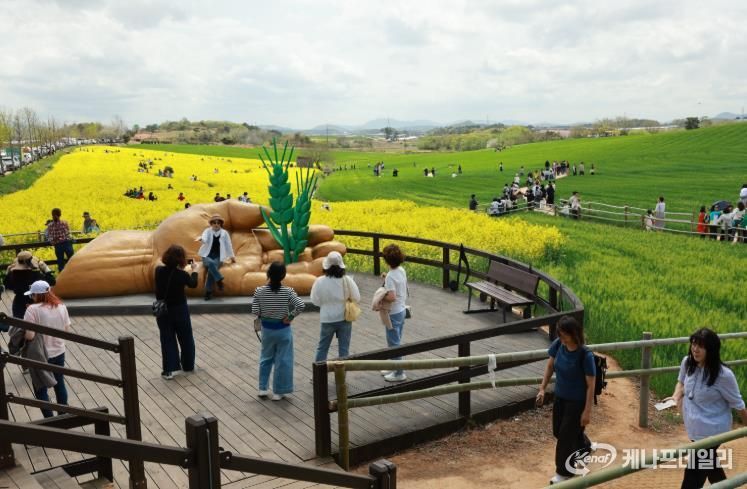 생활인구 자료사진(고창청보리밭축제를 찾은 수많은 관광객)
